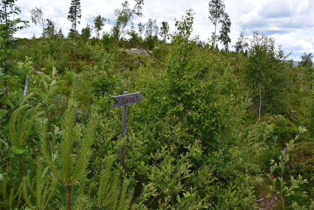Mieps Huset Dalarna Holiday Kullen  Esterno foto
