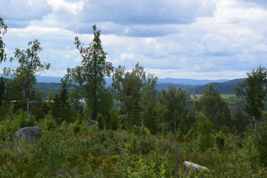 Mieps Huset Dalarna Holiday Kullen  Esterno foto